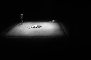 Haute surveillance - Cédric Gourmelon - © Hervé Bellamy